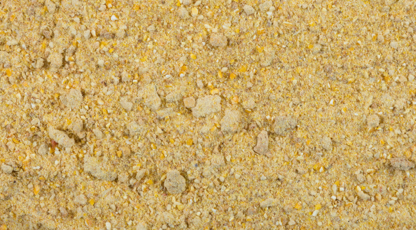 G�rmen de Milho Desengordurado