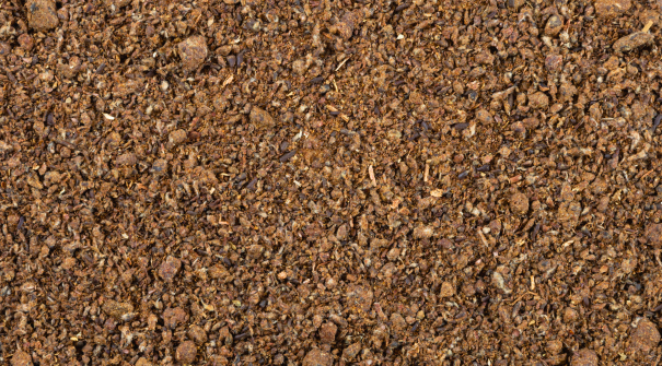 Farelo de Algod�o 38%