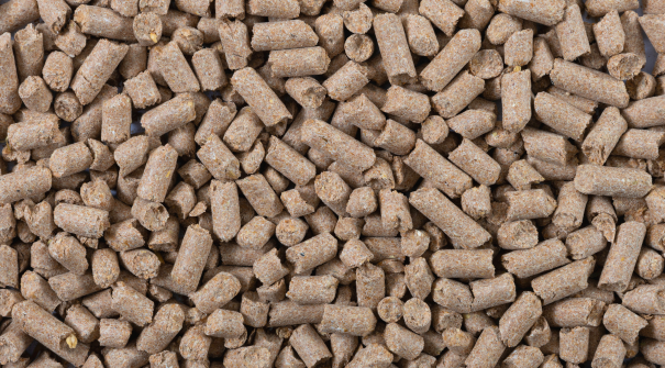 Farelo de Trigo Peletizado 